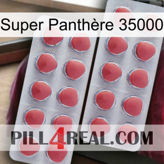 Super Panthère 35000 19